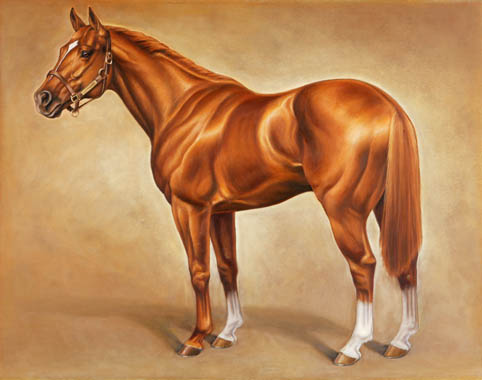 482x380 Secretariat, Charcoal Amp Chalk Pastel Portrait By Jaime Corum - Secretariat Painting