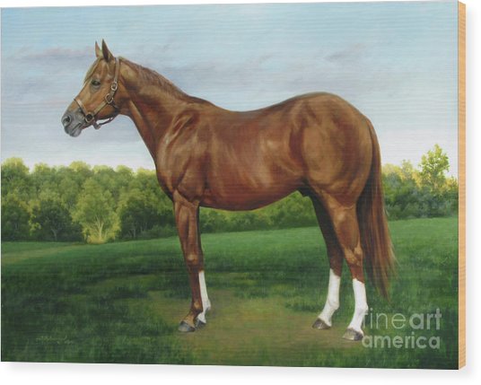 536x429 Secretariat Painting By David Henderson - Secretariat Painting