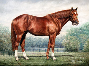 300x222 Secretariat Painting By Thomas Allen Pauly - Secretariat Painting