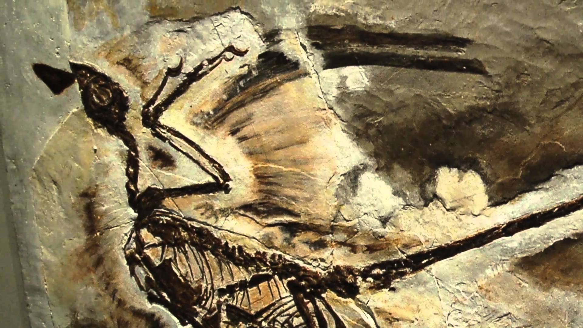 1920x1080 Seraphim Angelology Exhibit - Seraphim Painting