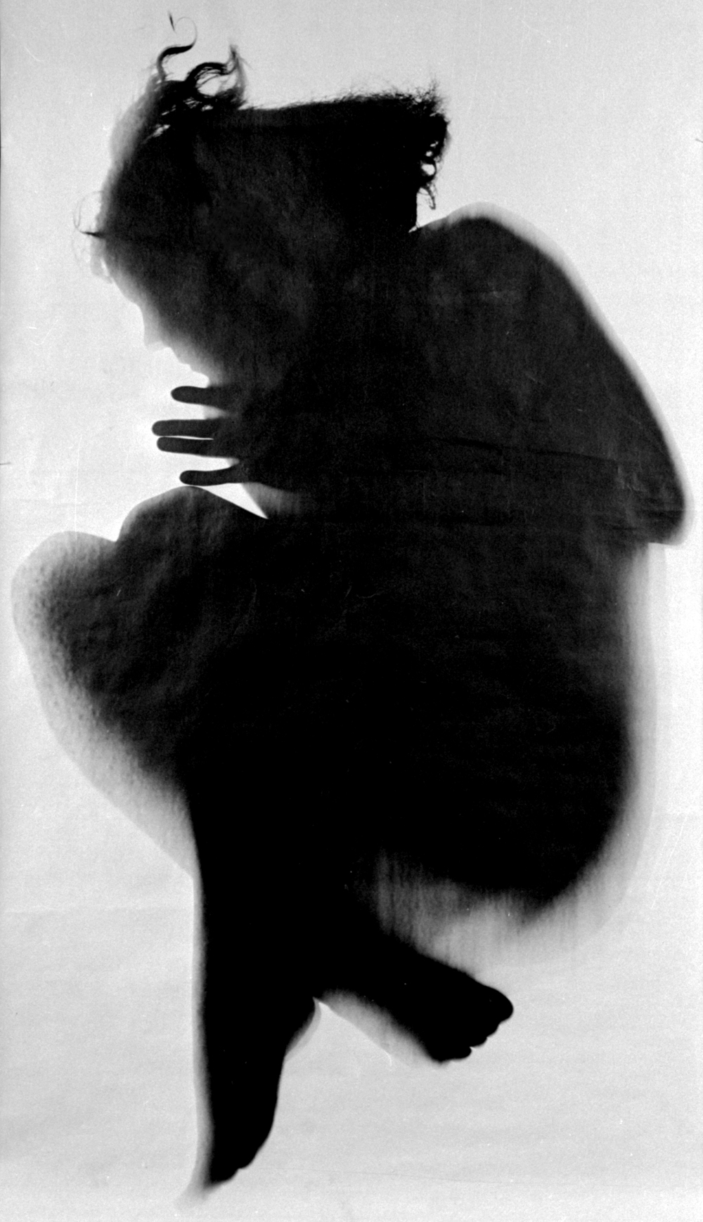 1000x1739 Camera Less Photography Artists - Shadow Catchers Painting