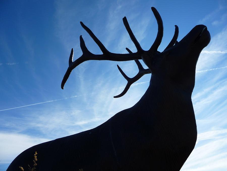 900x679 Shadow Painting By Kris Courtney - Shadow Painting