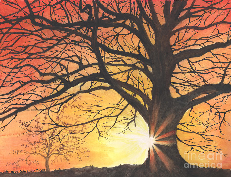900x690 Sunset Tree Shadow Painting By Sara Alexander Munoz - Shadow Painting Images