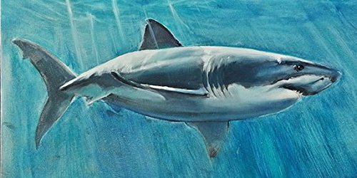 500x250 Real Hand Painted Ocean Shark Canvas Oil Painting For Home Wall - Shark Canvas Painting
