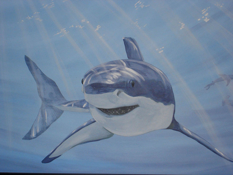 800x600 Shark Mural - Shark Painting