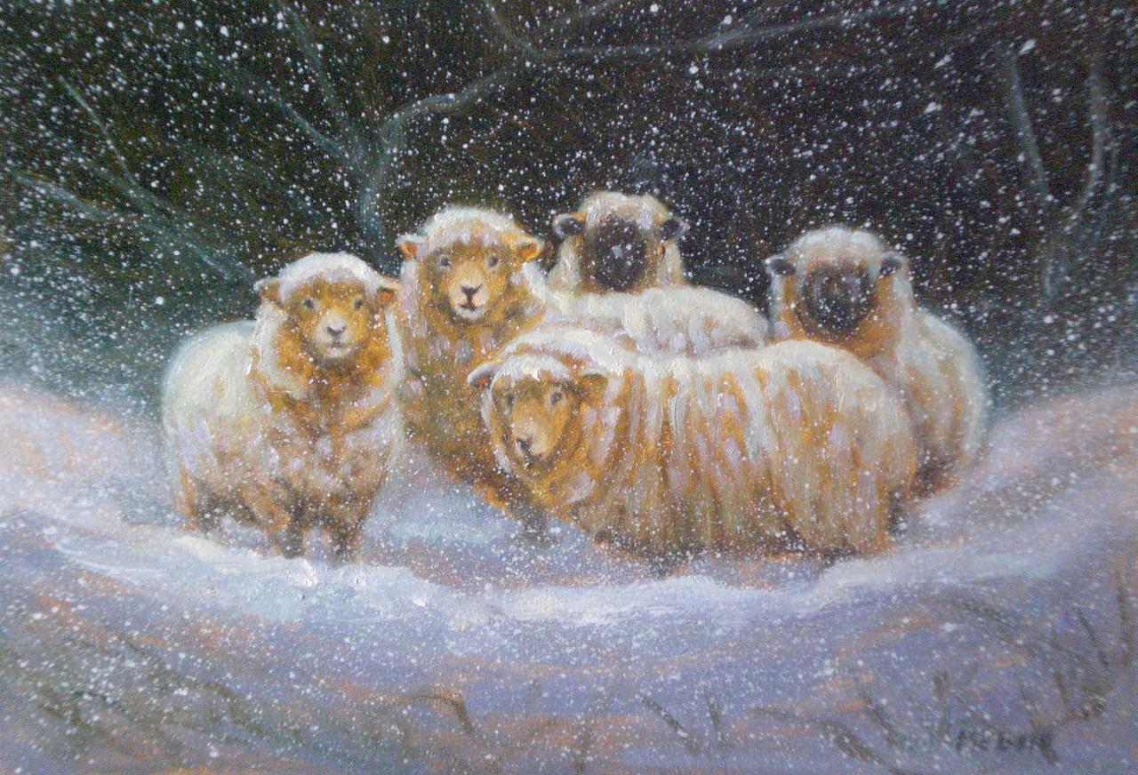 1280x872 Mary Iselin Fine Art - Sheep In Snow Painting