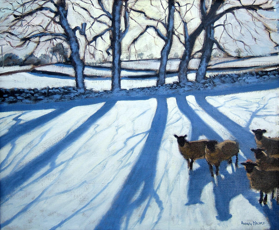 900x743 Sheep In Snow Painting By Andrew Macara - Sheep In Snow Painting