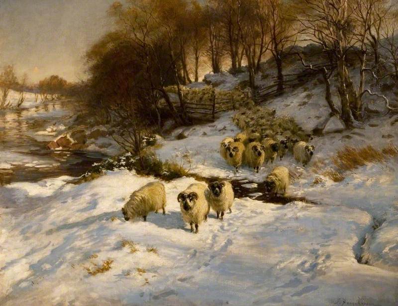 800x614 Sheep In The Snow Art Uk - Sheep In Snow Painting