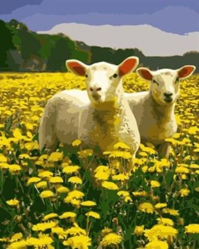 280x350 Oil Painting By Numbers Sheep And Flower Picture Acrylic Handmaded - Sheep Oil Painting