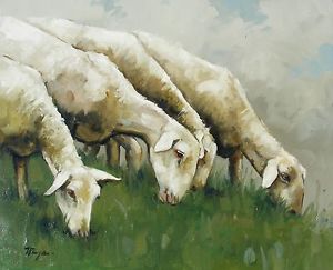 Sheep Oil Painting at PaintingValley.com | Explore collection of Sheep ...