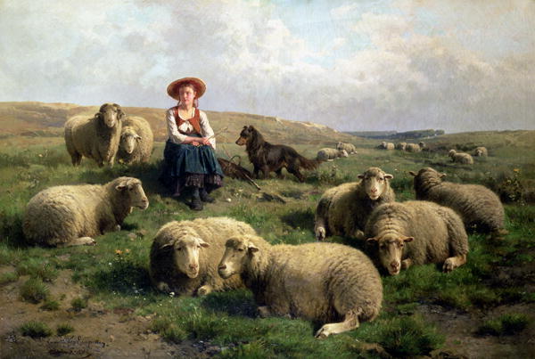 Sheep Oil Painting At PaintingValley.com | Explore Collection Of Sheep ...