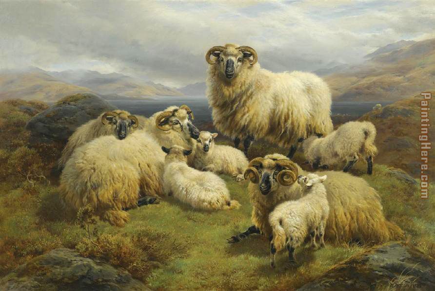 892x598 Unknown Artist Sheep In The Highlands Painting Anysize 50% Off - Sheep Painting