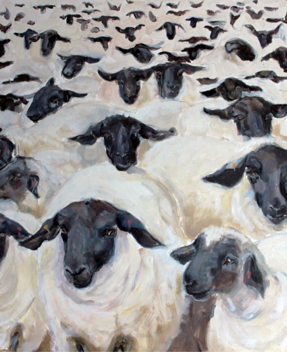570x700 Kate Knott Flock Ii Sheep Paintings Original Art Buy Art - Sheep Painting Images