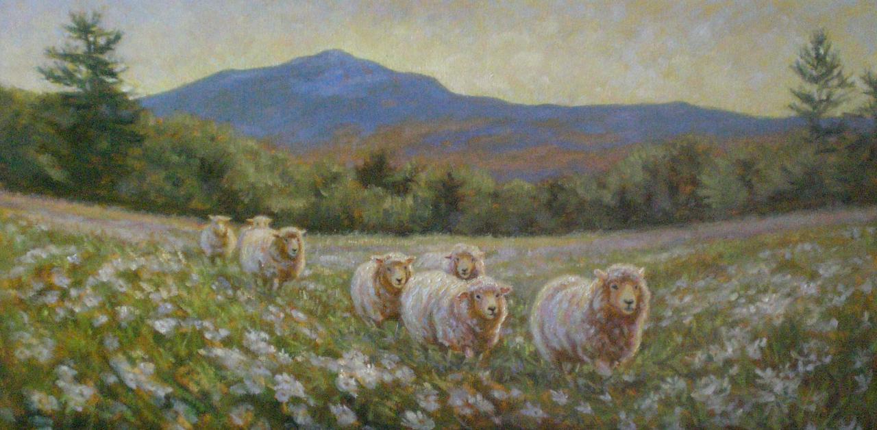 1280x628 Mary Iselin Fine Art - Sheep Painting Images