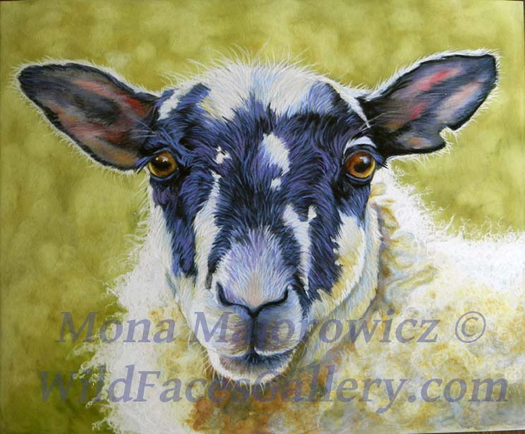 744x615 Meet Ewedora Sheep Painting Wip Fur In The Paint - Sheep Painting Images
