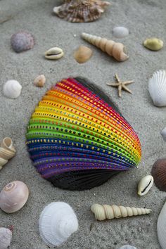 236x354 Painting Shells With Ultra Thin Sharpies. Inspiration Color - Shell Painting