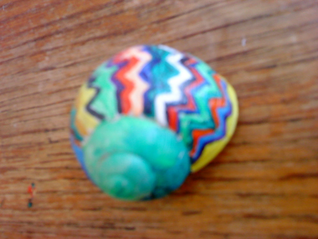 1024x768 Snail Shell Painting By Noncsi93 - Shell Painting