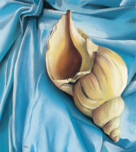 471x525 Shell And Cloth Ria Hills - Shell Painting