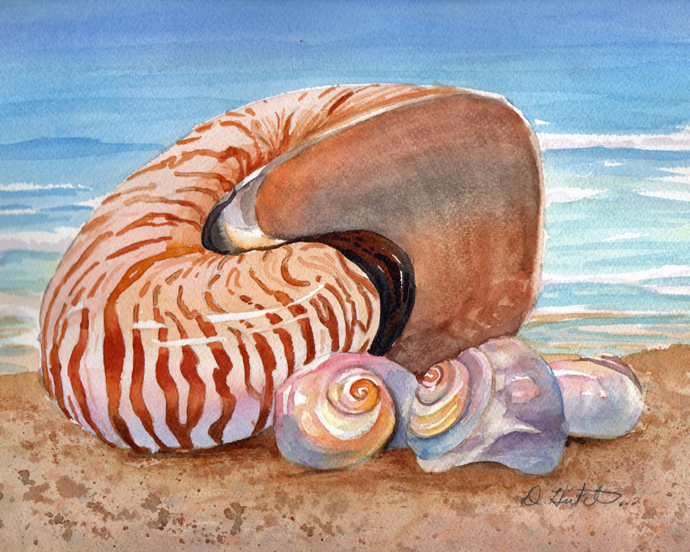 1000x800 Diane's Art Stuff Shell Paintings In Watercolor - Shell Painting