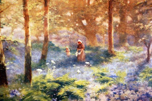 500x332 Original Oil Painting By S Shelton C1880 Woodland Scene 106434 - Shelton Painting