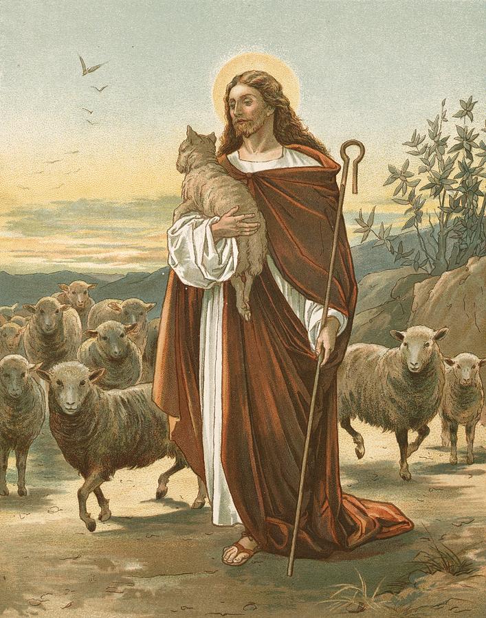 707x900 The Good Shepherd Painting By John Lawson - Shepherd Painting