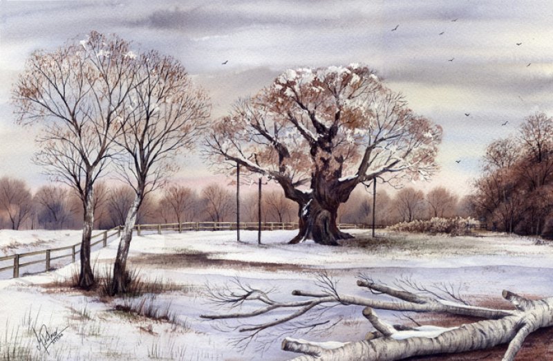 800x522 Sherwood Forest Major Oak Scene Watercolour Painting Canvas Art - Sherwood Painting