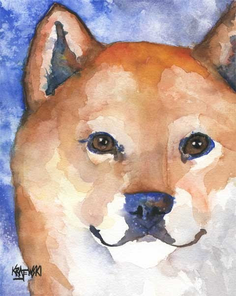 480x600 Shiba Inu Art Print Of Original Watercolor Painting 11x14 - Shiba Inu Painting
