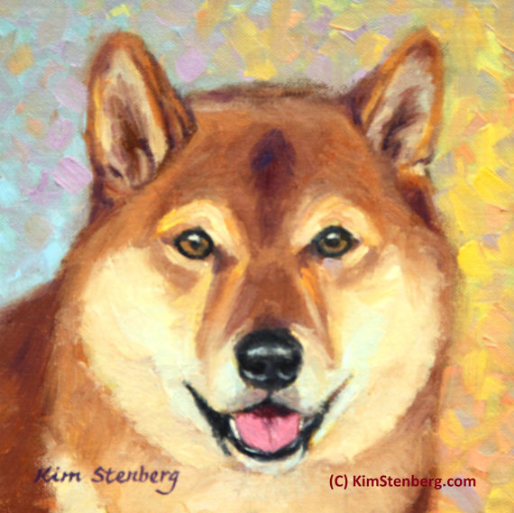 570x569 Shiba Inu Custom Pet Portrait Dog Painting 8 X 8 By - Shiba Inu Painting