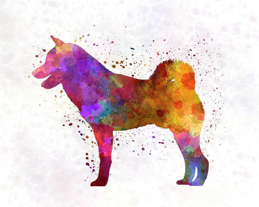 900x720 Shiba Inu In Watercolor Painting By Pablo Romero - Shiba Inu Painting