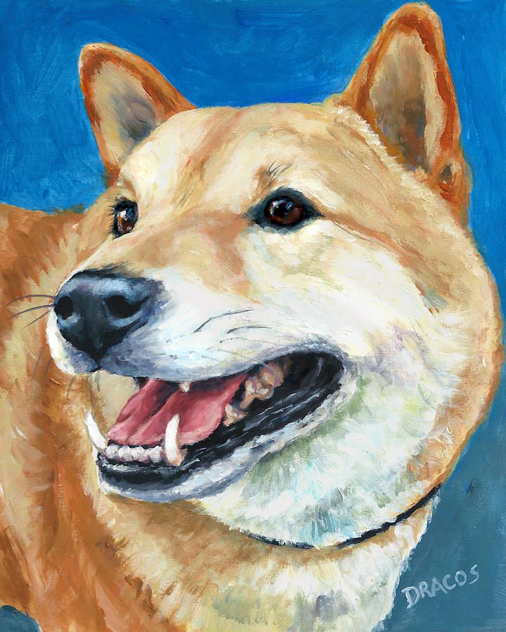 720x900 Shiba Inu On Blue Painting - Shiba Inu Painting
