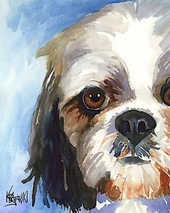 240x300 Shih Tzu Dog 11x14 Signed Art Print Rjk Painting Ebay - Shih Tzu Painting
