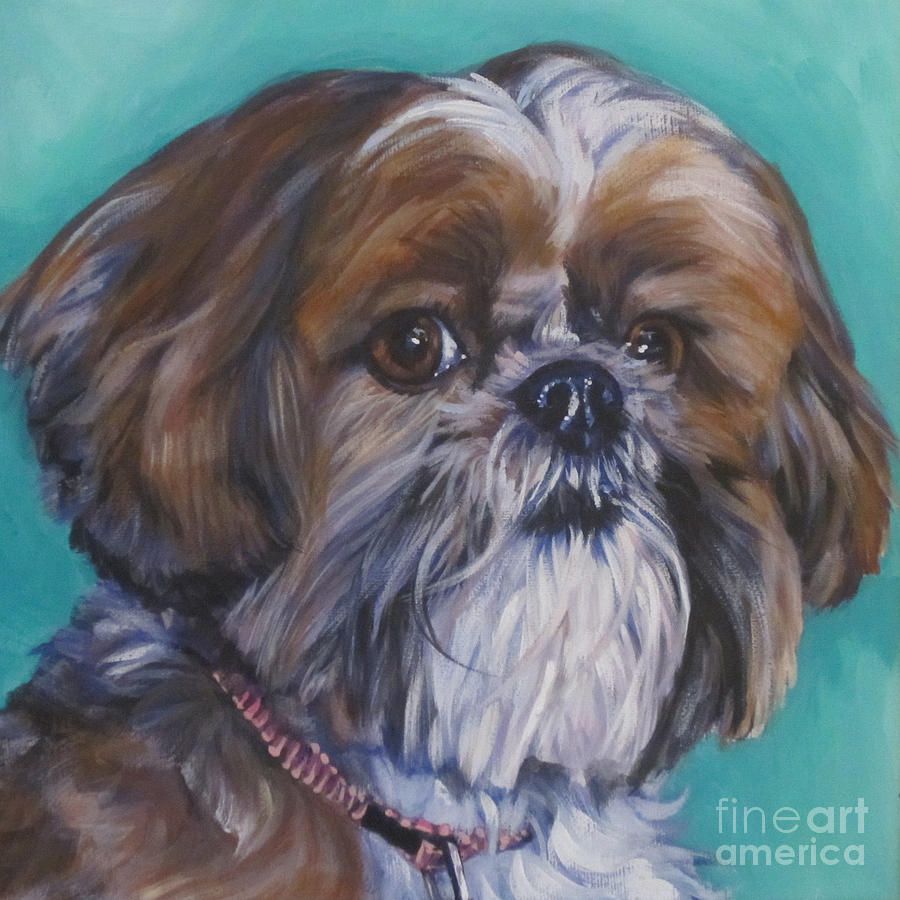 900x900 Shih Tzu Painting - Shih Tzu Painting