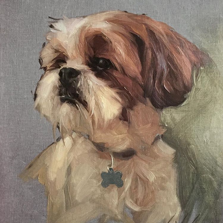 750x750 Shih Tzu Paintings Piasa - Shih Tzu Painting