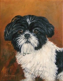250x319 Shih Tzu Paintings - Shih Tzu Painting