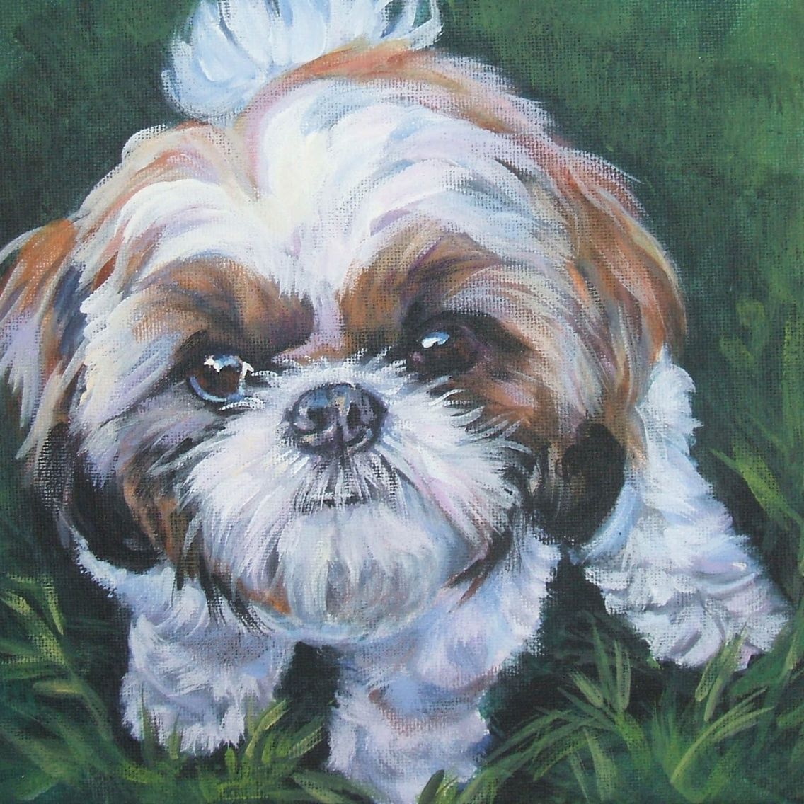 1136x1136 Shih Tzu Painting Love To Paint Paintings, Dog - Shih Tzu Painting