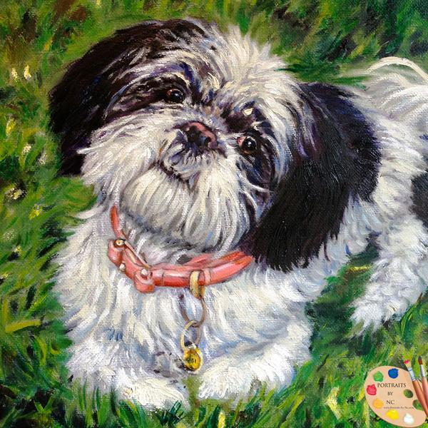 600x600 Shih Tzu Portrait From Photo Portraits By Nc - Shih Tzu Painting