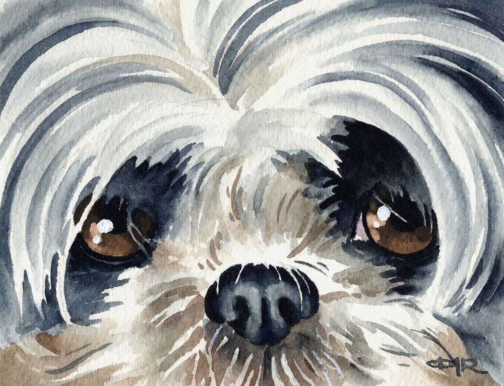 1000x766 Dog Art Print Home Decor - Shih Tzu Painting