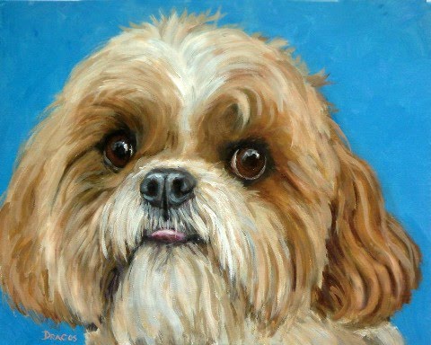 480x384 Dog Paintings (And Cat And Other Animals) By Dottie Dracos Brown - Shih Tzu Painting