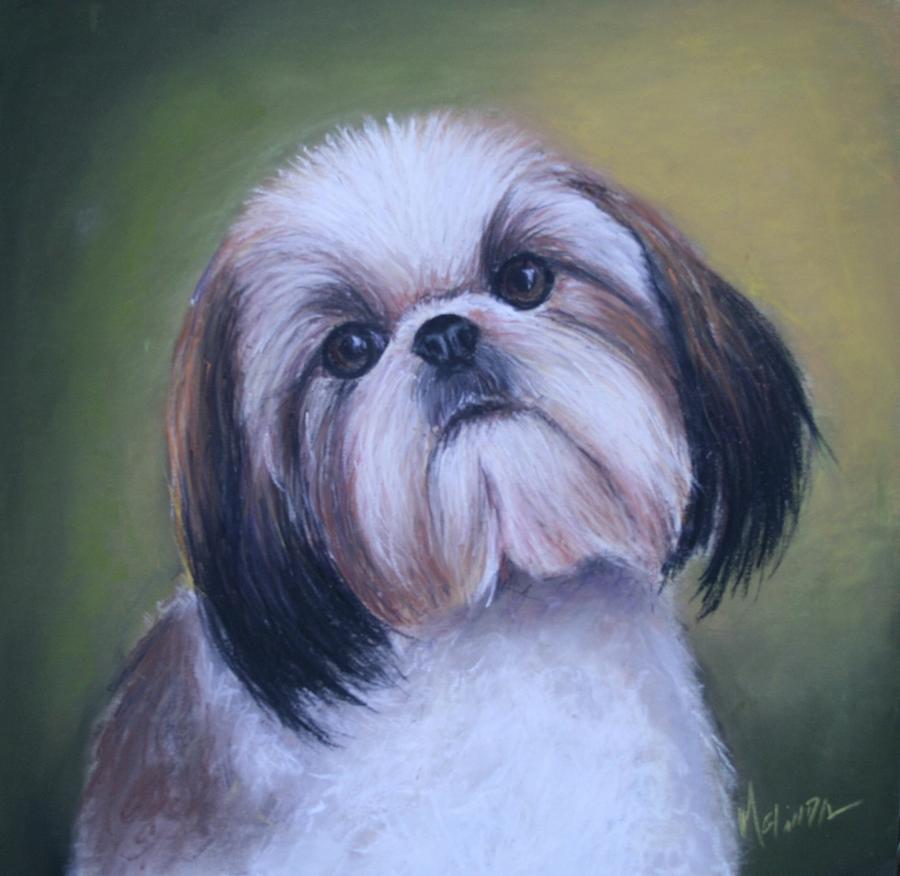 Shih Tzu Painting at PaintingValley.com | Explore collection of Shih ...