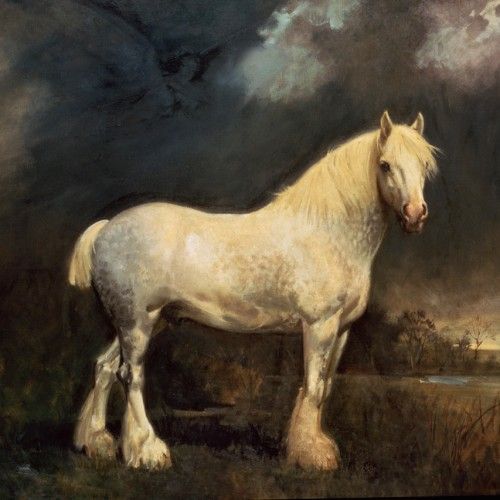 500x500 Shire Horse Gallery Barrel The Best Shire Artwork - Shire Horse Painting