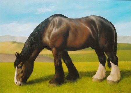450x321 Shire Horse Painting - Shire Horse Painting