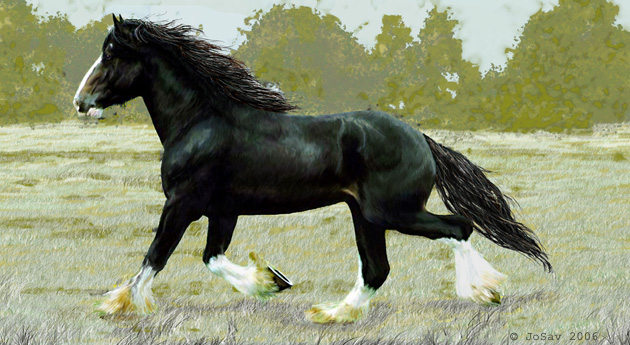 630x345 Shire Horse By Josav - Shire Horse Painting