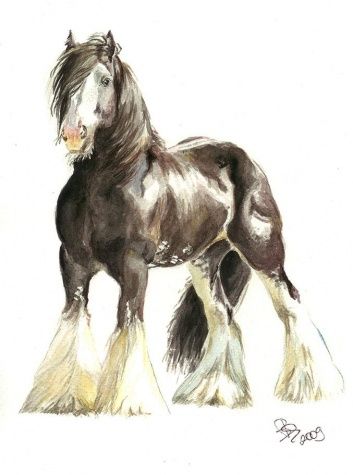 353x475 Benedek, Eszter - Shire Horse Painting