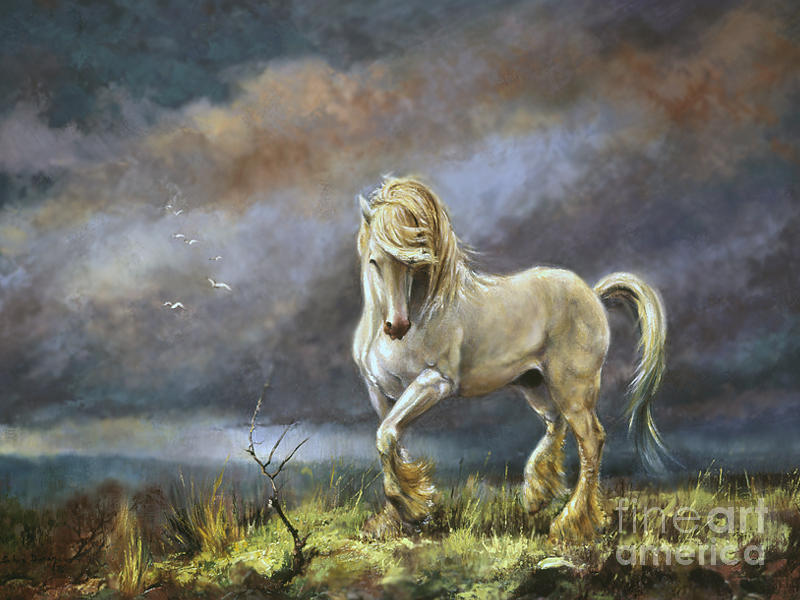 800x600 Shire Stallion Painting By Silvia Duran - Shire Horse Painting
