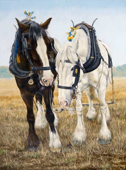 434x584 Shire Horses Ploughing Picture, Print - Shire Horse Painting