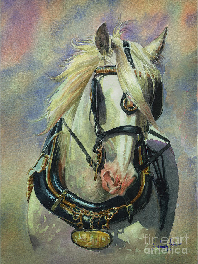 675x900 The Gray Shire Horse Painting By Anthony Forster - Shire Horse Painting