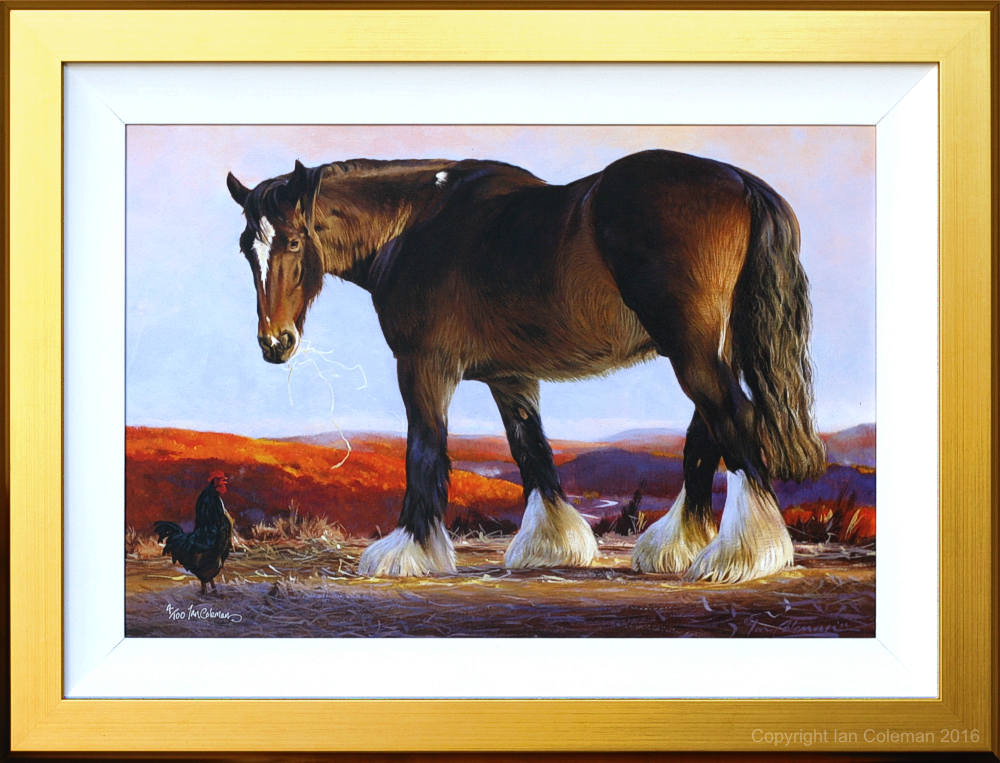 1000x763 Canvas Print Shire Horse Coleman Gallery - Shire Horse Painting