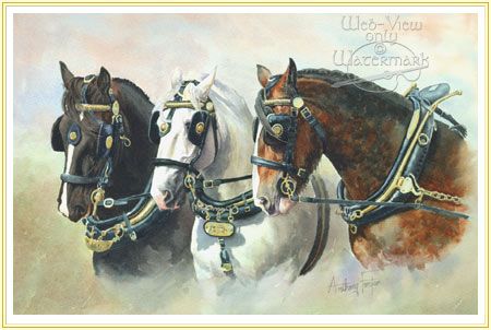 450x302 The Heavy Mob - Shire Horse Painting