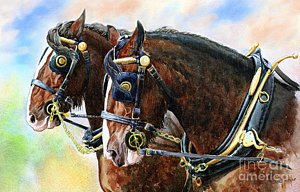 300x192 Chestnut Shire Horses Painting By Anthony Forster - Shire Horse Painting