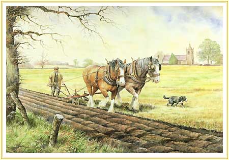 450x316 Early Furrows - Shire Horse Painting